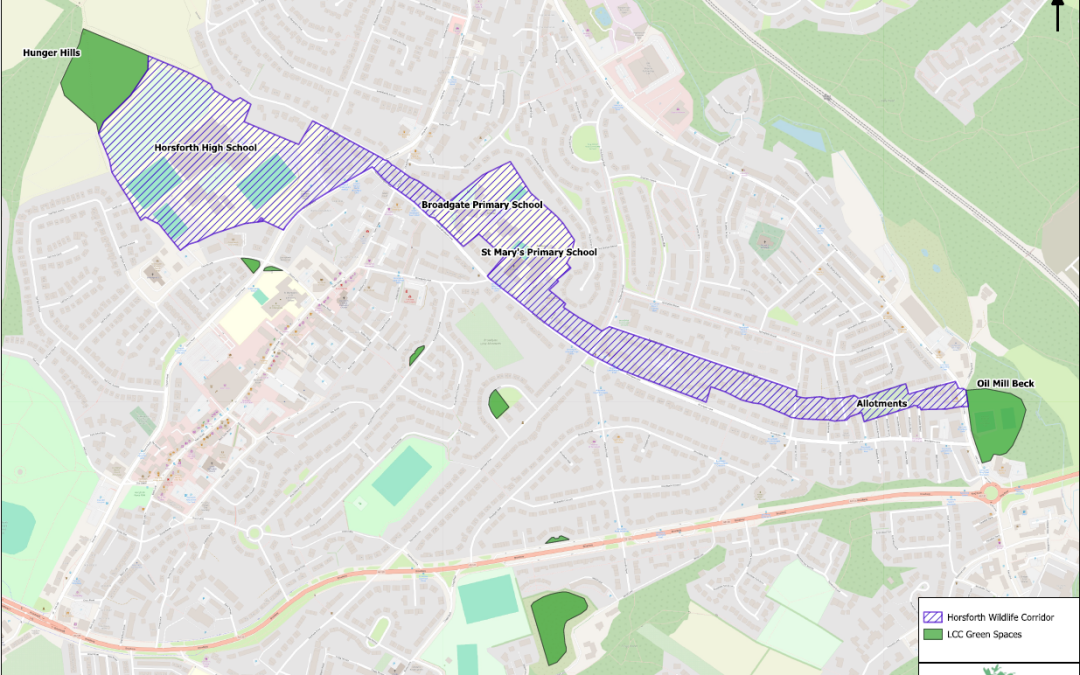 Nature Corridor Launch Event