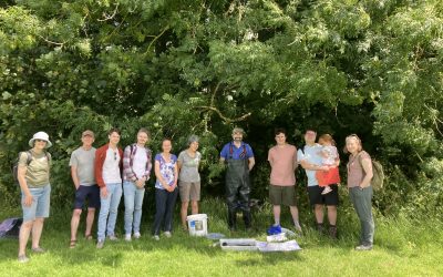 Open Gardens and Bioblitz – What a busy, nature filled weekend!