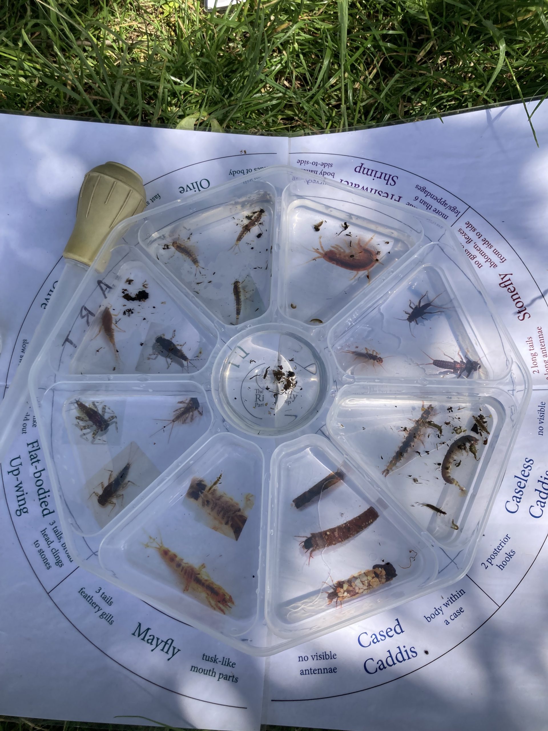 Samples taken from the Beck