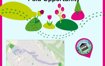 Paid Opportunity